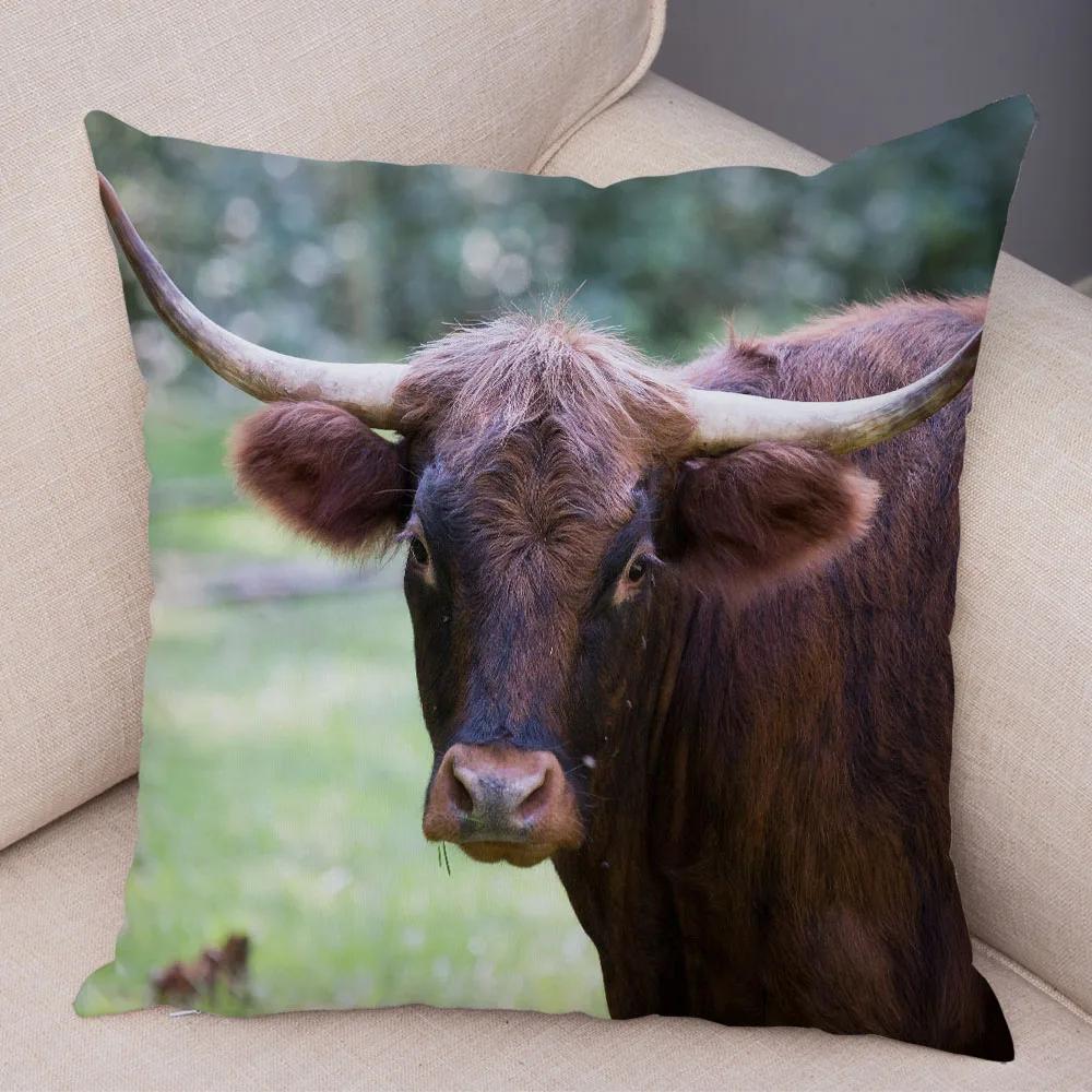 Scotland Kyloe Pillow Case Decor Wild Cow Colorful Animal Print Pillowcase Soft Short Plush Cushion Cover for Home Sofa 45x45cm