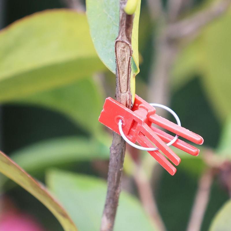 100pcs Garden Tool Graft Clip Graft Clamp For Novice Enthusiast Stable Connection Versatile Ample Quantity Plastic