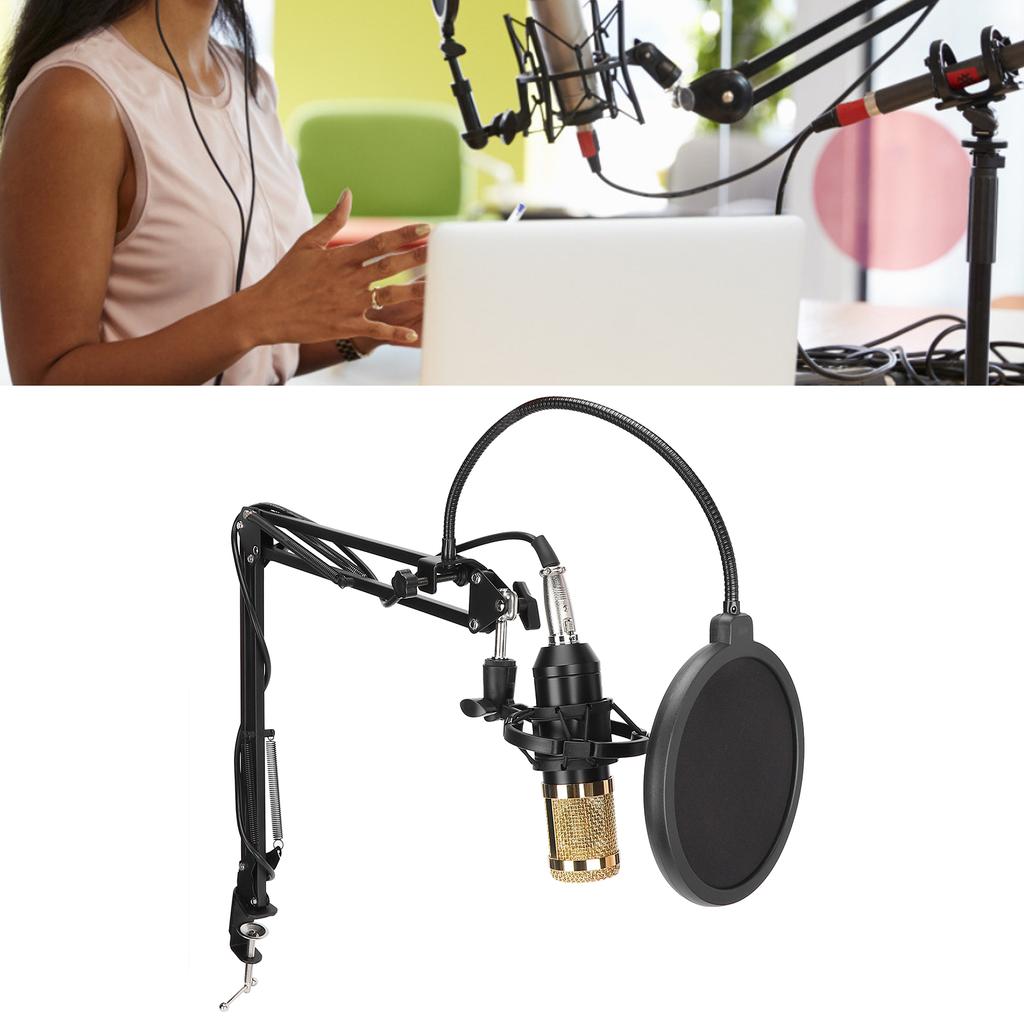 Buy Condenser Microphone Bundle Studio Mic Kit with Pops Filter Boom