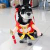 Deadly Doll Pet Costume: Halloween Dog Outfit with Knife Dagger for Puppies