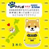 Traveling Mameshiba Keychain Mascot Ball Chain Bag Charm Cute Fluffy Shiba Inu Mameshiba Soothing [LamPlanning] [Series-8] (Doctor Yellow)