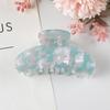 Elegant Multi-Color Acetate Hair Clip - Jelly Shark Grip for Women