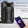 Suoai Portable High-Power Karaoke Speaker with Dual Microphones CN Plug (adapter Included)