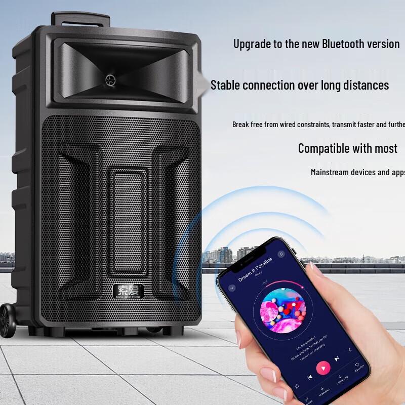 Suoai Portable High-Power Karaoke Speaker with Dual Microphones CN Plug (adapter Included)
