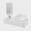 2-in-1 Automatic Pet Water Feeder & Bowl for Cats and Dogs