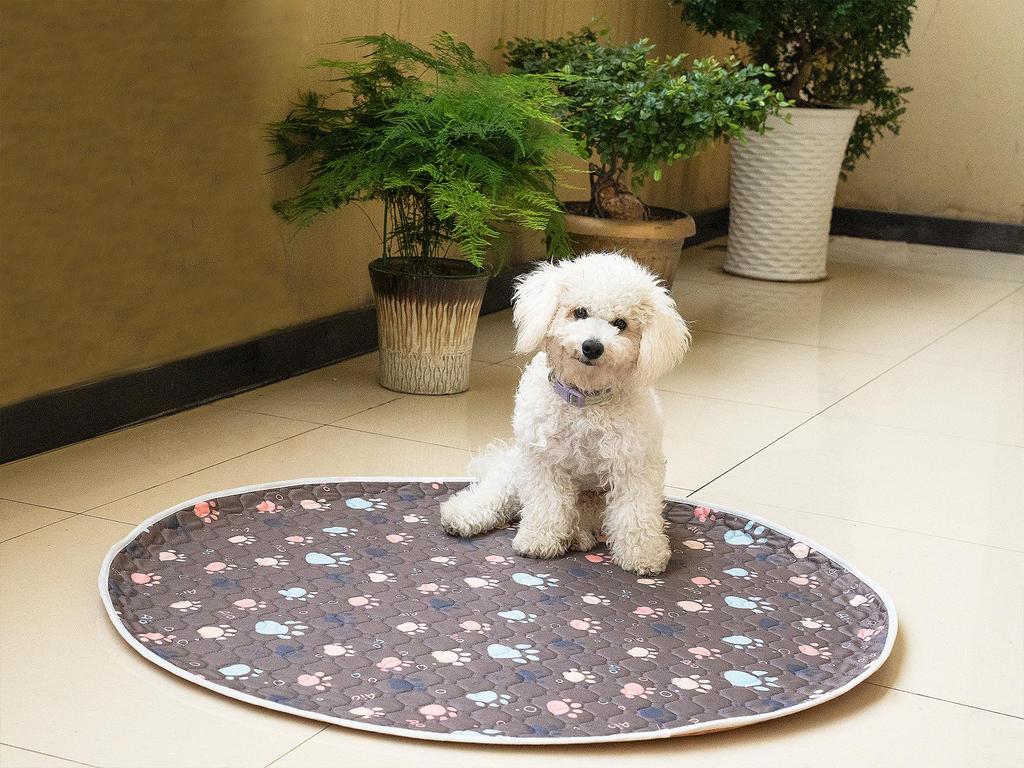 Pet Non-Slip Tear-Resistant Dog Mat - Waterproof for Dog House Use