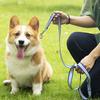 Rainbow Walking Dog Rope Large Medium And Small Traction Rope Snap On Pet Collar Nylon Strap Woven Dog Pet Accessories