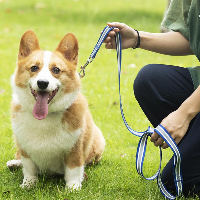 Rainbow Walking Dog Rope Large Medium And Small Traction Rope Snap On Pet Collar Nylon Strap Woven Dog Pet Accessories