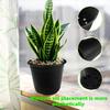 Plastic Seedling Pot with Drainage Holes, Lightweight and Portable for Indoor and Outdoor Flower and Vegetable Planting - Durable,