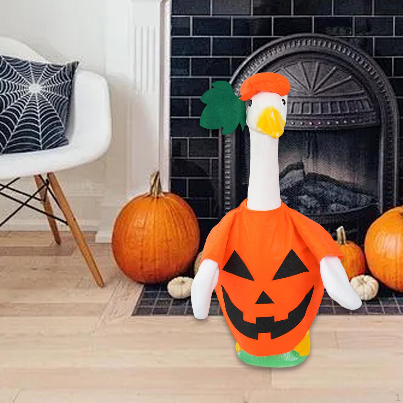 Halloween Goose Outfit,Pumpkin Costume,Funny,Cute,Halloween Decor Clothes Garden Costume for