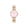 Daniel Wellington Petite Watch