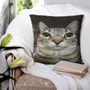 Katze blickt direkt auf dich Quadratische Kissenhülle Kissenbezug Polyester Kissen Reißverschluss Dekorativ Komfort Wurfkissen für Zuhause Auto