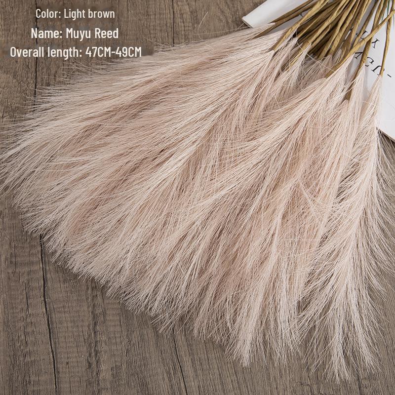 INS Style Artificial Pampas Reed Flowers for Home Decoration and Weddings