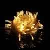 LED Christmas Lights - 10M/100 Lights    Warm White Ehd-Ls03
