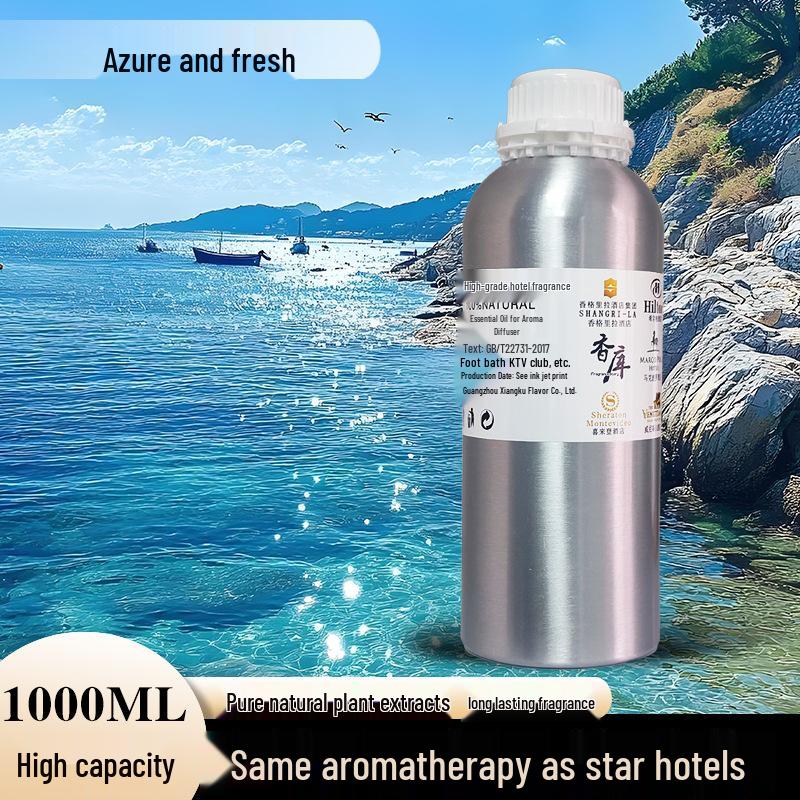 Oil-Soluble Aroma Diffuser Machine: 1000ML Essential Oil Sprayer for Hotels, Clubs, and Commercial Spaces