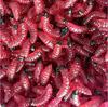 2cm/0.4g Maggot Mealworm Soft Plastic Bionic Lure - Imitation Bait for Fishing