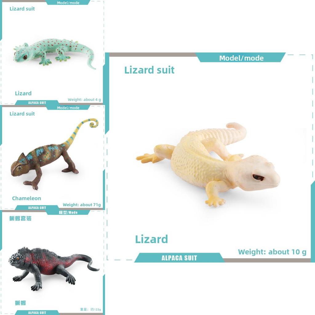 Realistic Reptile Lizard Chameleon Model With Assembleable Chameleon And Gecko Figures For Collectors And Kids
