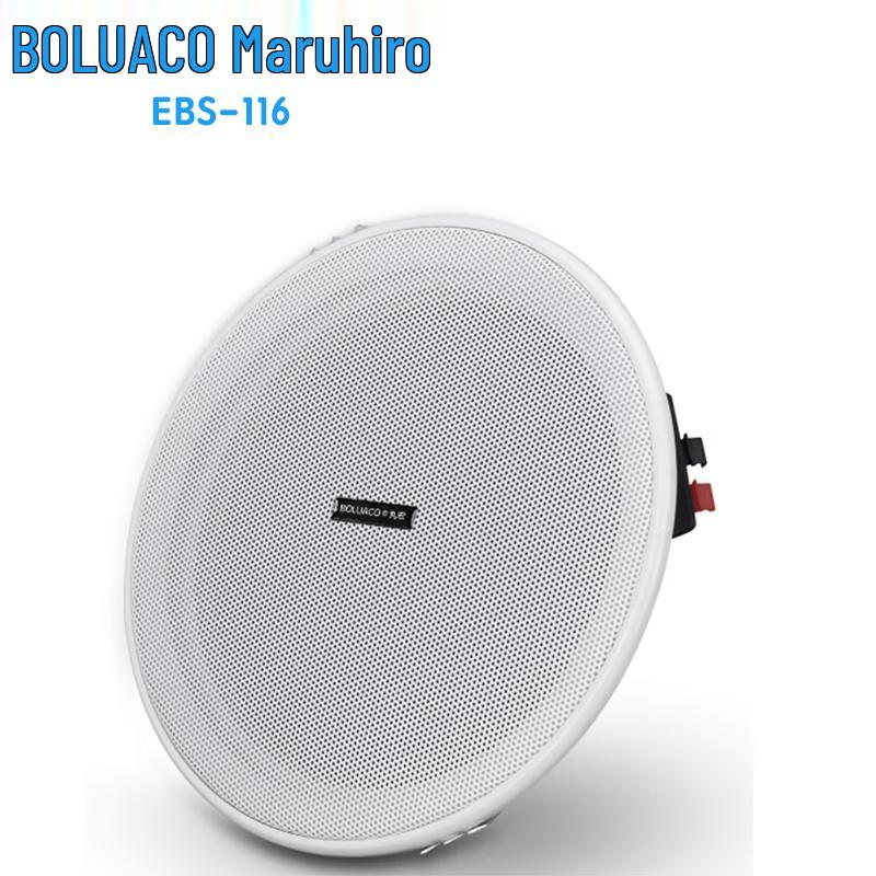 

Wanhong EBS-11 6-inch Commercial Ceiling Speaker (CN version)