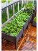 Thickened Plastic Vegetable & Flower Planter Box for Balcony, Indoor, Terrace, or Courtyard