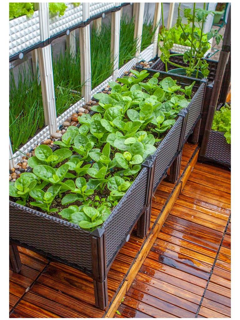 Thickened Plastic Vegetable & Flower Planter Box for Balcony, Indoor, Terrace, or Courtyard