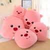 Loopy Miniso Peripheriegerät Neues Biber Kissen Plüschtier Sofakissen Nickerchenkissen Kawaii Bestes Geschenk für Weihnachten und Neujahr