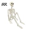 Durable Skeleton Model for Cemetery Theme Halloween Decoration, 3Ft Life Size Full Body Human Bone, Realistic Posable Party Decorations with