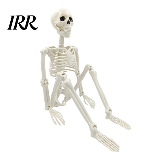 Durable Skeleton Model for Cemetery Theme Halloween Decoration, 3Ft Life Size Full Body Human Bone, Realistic Posable Party Decorations with