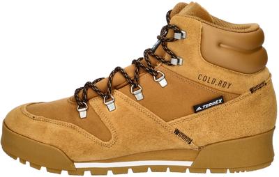 Hiking Shoes TERREX Snowpitch COLD.RDY Mesa/Mesa/Core Black