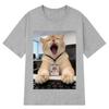 Funny Office Cat Meme T-shirt Men Women Fashion Casual T-shirt Short-sleeved Loose Casual Cotton T-shirts Streetwear
