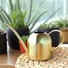 Rose Gold Stainless Steel Watering Can with Spout, Retro Style, 1000ML for Succulents and Green Plants