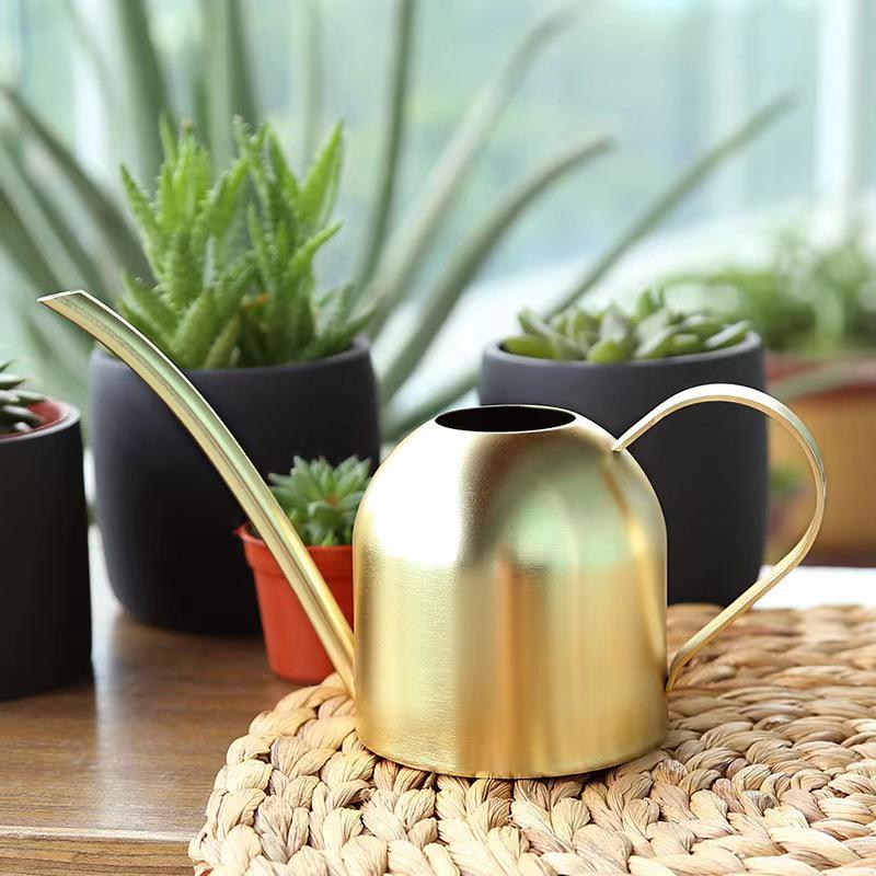 Rose Gold Stainless Steel Watering Can with Spout, Retro Style, 1000ML for Succulents and Green Plants