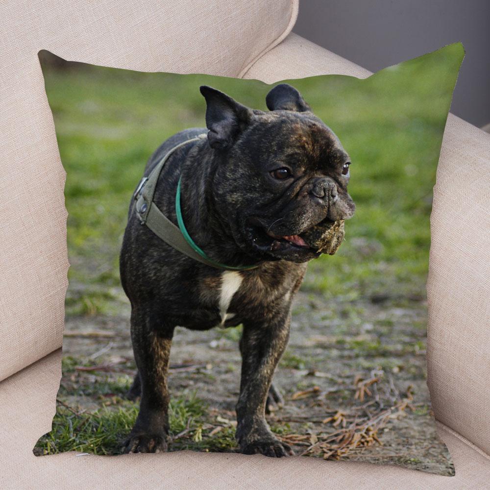 Cute Pet Mini French Bulldog Pillowcase Home Sofa Car Decoration Animal Dog Cushion Cover Printed