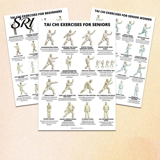 Gentle Chair Workout Routine 3Pcs Tai Chi Posters Seated Canvas Fitness Poster Illustrations Exercise Instructions for Beginners Seniors Senior