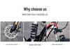 Adult Off-Road Mountain Bike with 4.0 Tires & Shock Absorption for Men, Women & Students