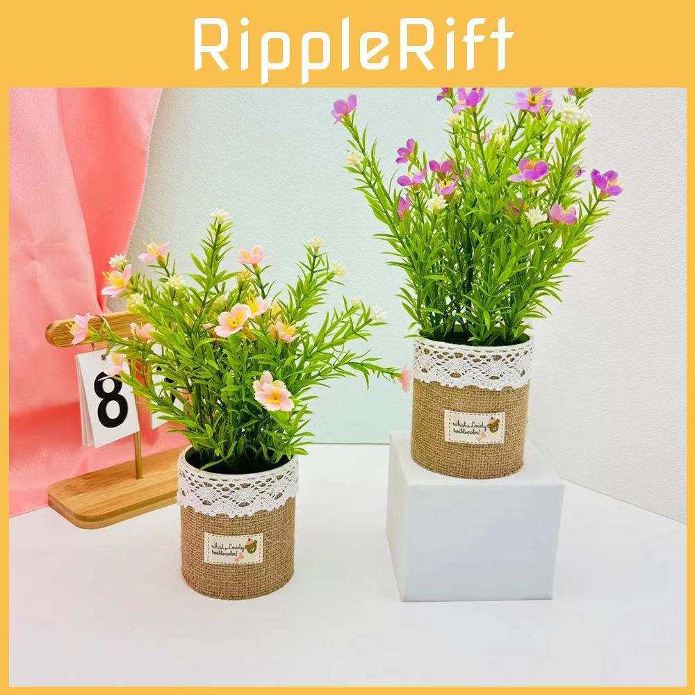 Perennis Topfpflanze Bellis Leinenblumentopf für Hotel Speisesaal Dekoration