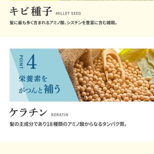 Aderans Volume Escort Supplement, Made In Japan, with Zinc, HGP, Saw Palmetto, Millet Seed, Keratin, and Pepper, for Hairline and Hair Volume, Concent