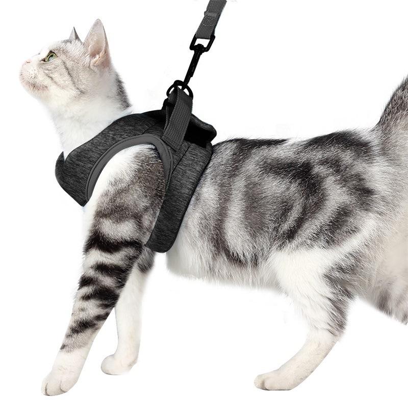 Cat Harness Leash Upgraded Anti Escape Breathable Chest Vest Adjustable For Cats And Kittens Daily Walks Park Travel Birthday