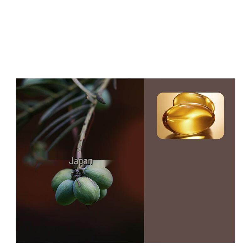 ASAKA Amino Acid Nourishing Conditioner (2-Pack)