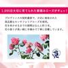 L'Occitane Rose Lip Balm 12mL
