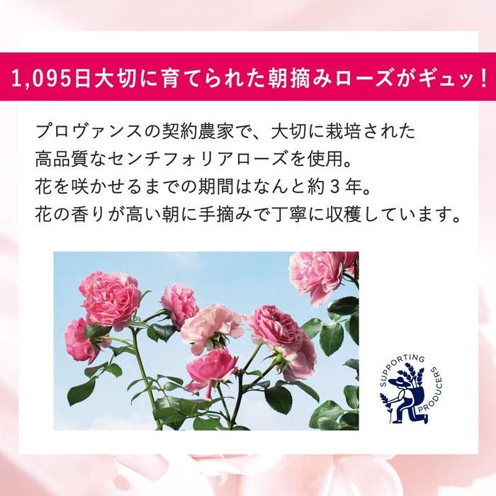 L'Occitane Rose Lip Balm 12mL