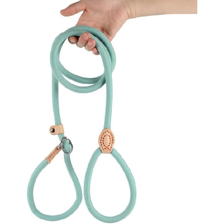 Explosion-Proof Punch Line Anti-Breakaway Chain Dog Leash Without Strangulation Dog Leash