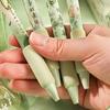4PCS/Set Soft Grip Gel Pen Press Type Writing Tools High Quality Neutral Pen  School Office