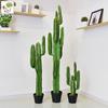 Artificial Column Cactus Plant for Home, Office, or Photography Decor