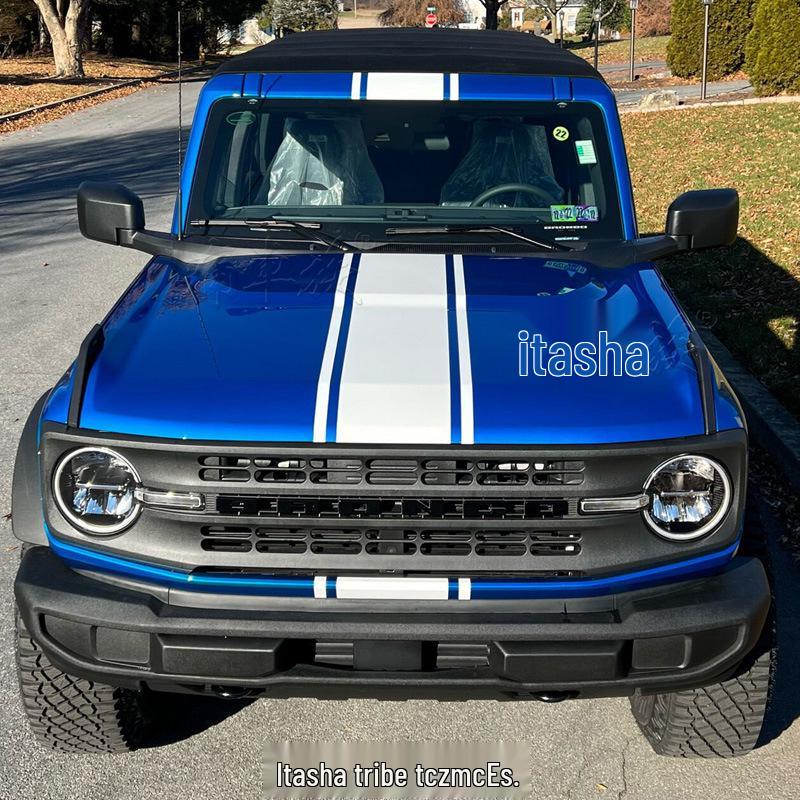 Bronco Wild Horse Car Hood & Pinstripe Stickers for Decoration & Modification