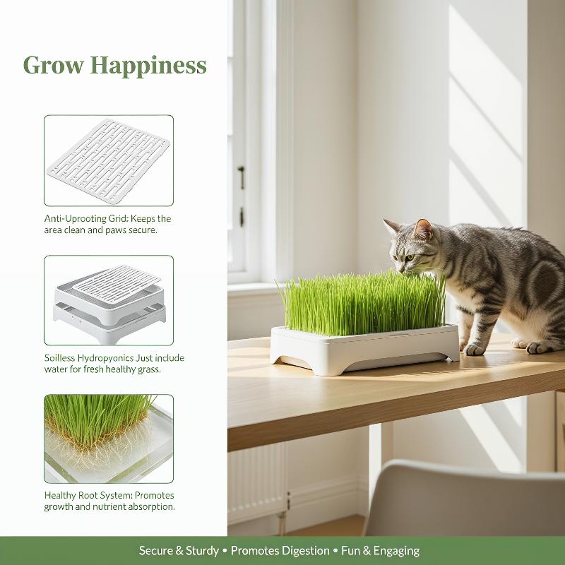 Soilless Wheat Grass Seedling Pot Kit for Cats Indoor Planting Pet-Friendly Design