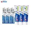 Crest Velvet Toothbrush & All-in-One Toothpaste Combo