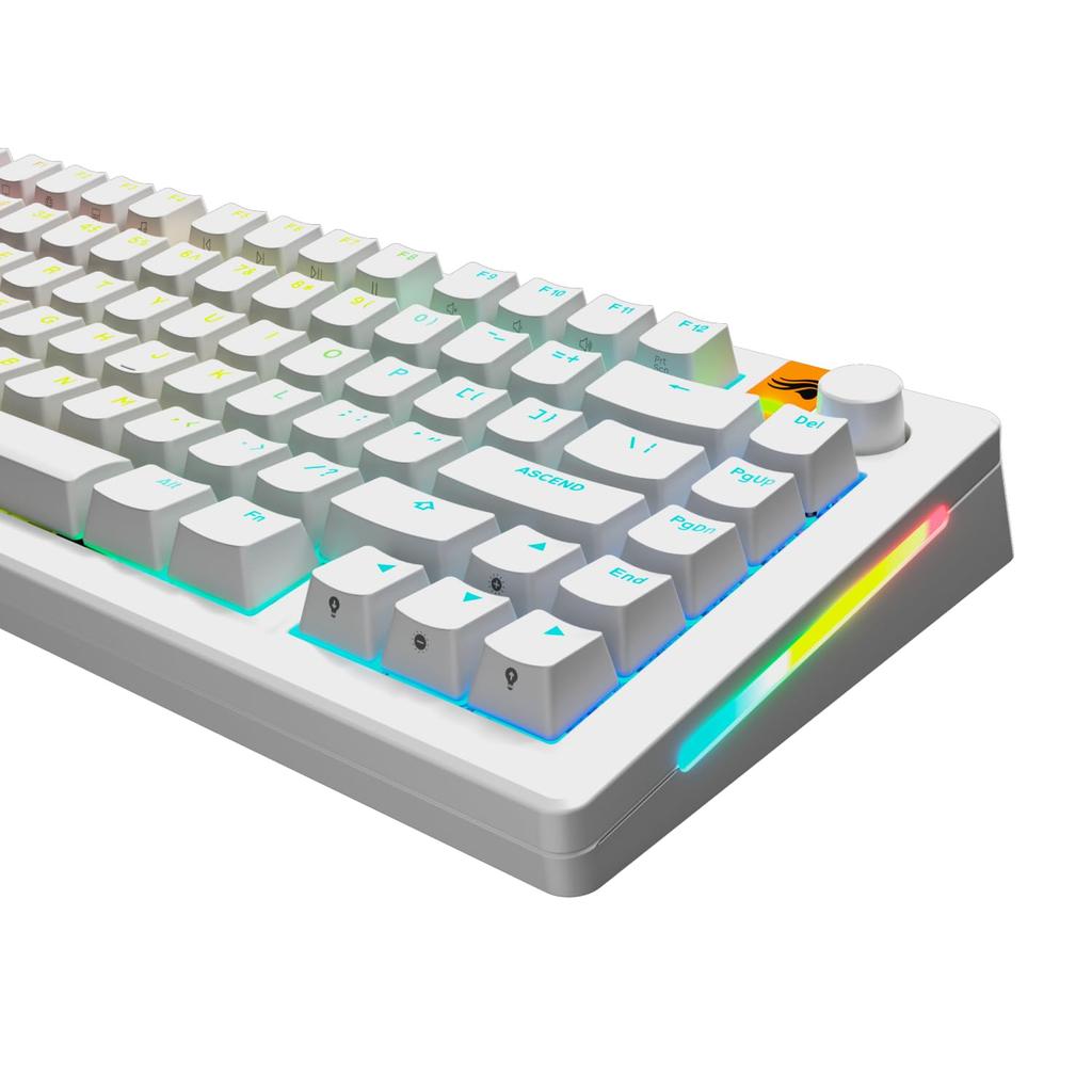 Glorious GPBT Backlit Keycaps White - US - Retail GLO-KB-ACC-KC-GPBT-LIT-WHT-US KB0872