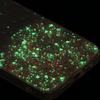For Samsung Galaxy A35 5G Glow In The Dark Phone Case Epoxy TPU Glitter Sparkle Cover