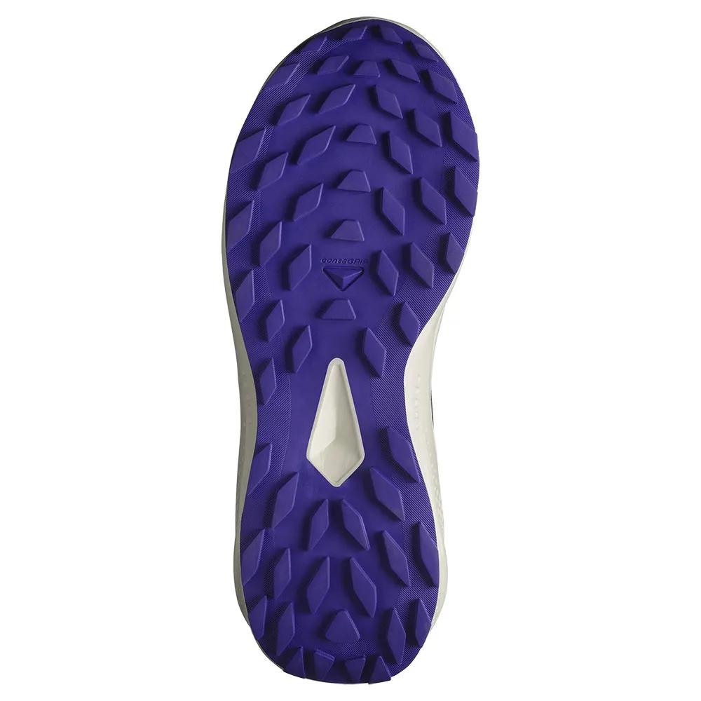 Salomon Кроссовки для трейлраннинга Alphaglide