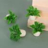 5pcs Mini 1:12 Dollhouse Miniature Plant Finished Flower  Outdoor Doll House Model Accessories